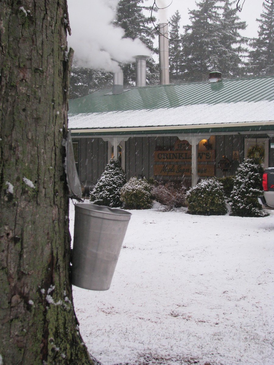 LdnSugarBush's tweet photo. Open for the season starting Sunday! Tapping nearly completed. Come see us 10 to 3 Wed to Sun http://t.co/3bgoLvwWku