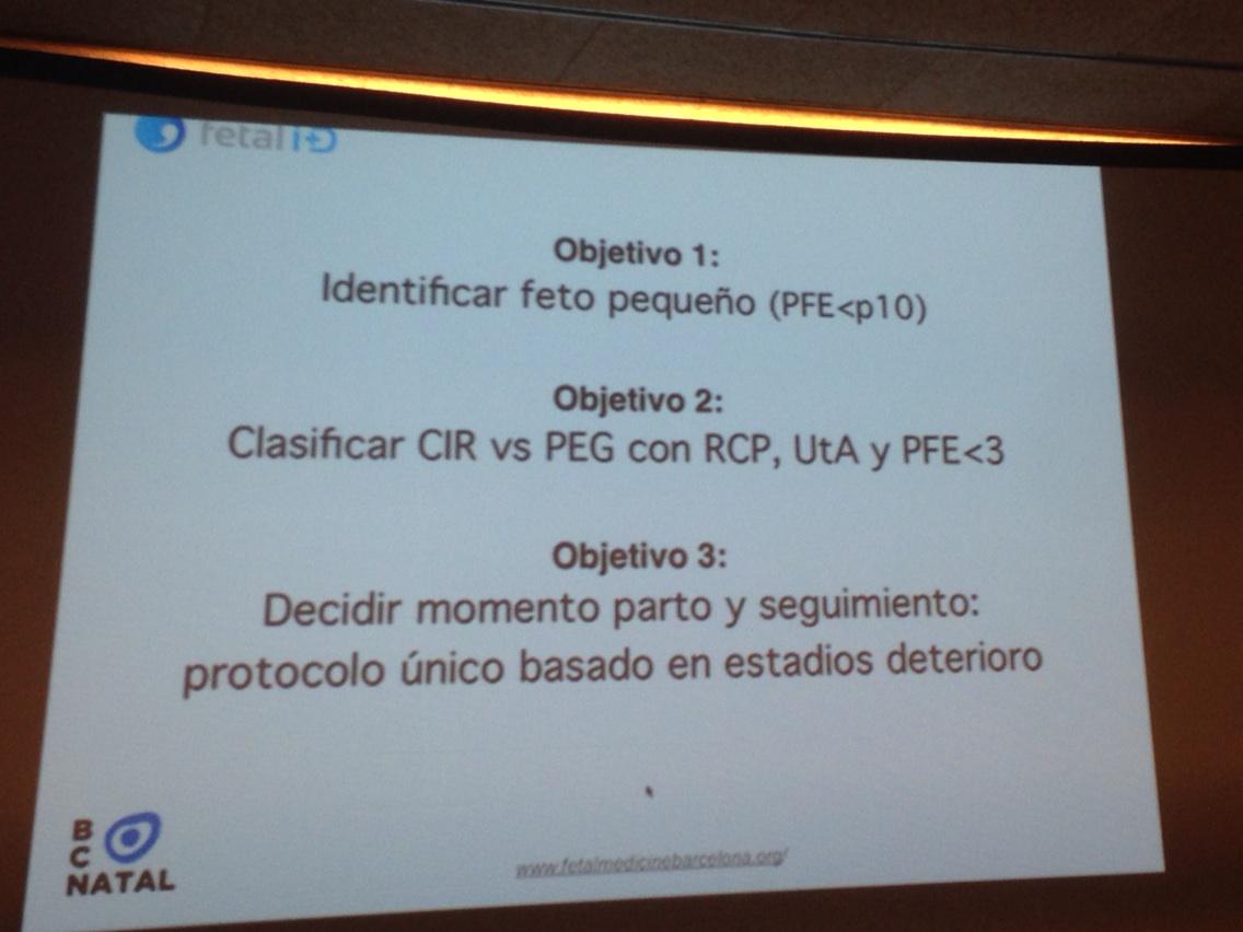 leoloz99's tweet photo. Objetivos en CIR #seva2015 @medfetalBCN http://t.co/CGT0opEZEh