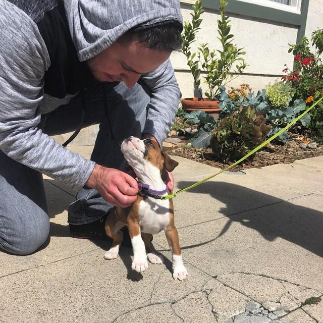 Troy Ponce tweet media