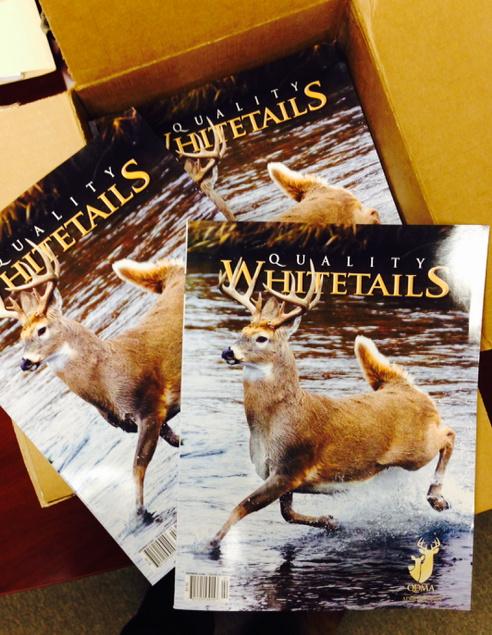 LindsayThomasJr's tweet photo. One of the best moments in my job is when I get to break open a box of the newest issue of QW. Opened this one today! http://t.co/EE7FgdHrHw