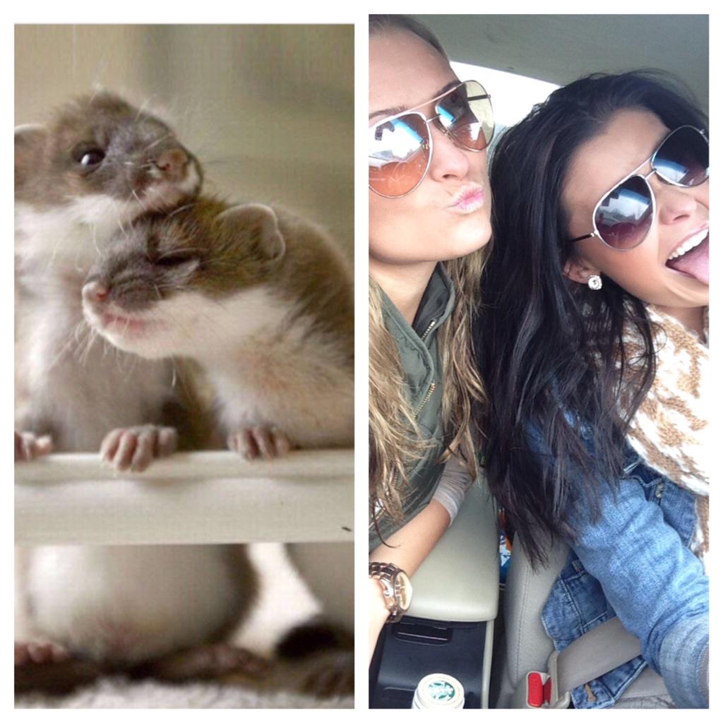sckendrick's tweet photo. @KennaMowery miss you dangit!! #bigandlittle 😘 http://t.co/CtZChclAKO