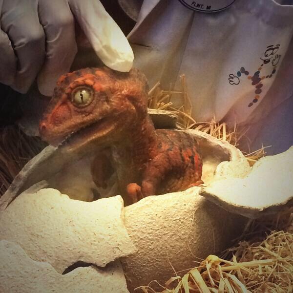 DaRealRandyRapt's tweet image. Mom brought out my baby photos. Begged her not to share them, but this one I like. Fact: I was born in #JurassicPark