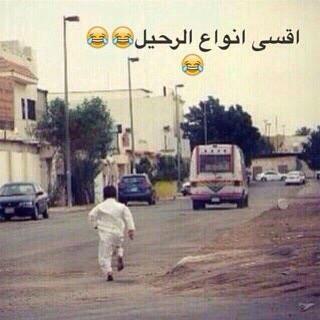 omer774 tweet picture