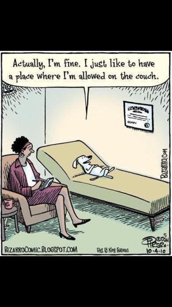 SammydaBulldog's tweet photo. Thank dog I'm allowed on the sofa.....😃 http://t.co/p61mLw8mQc
