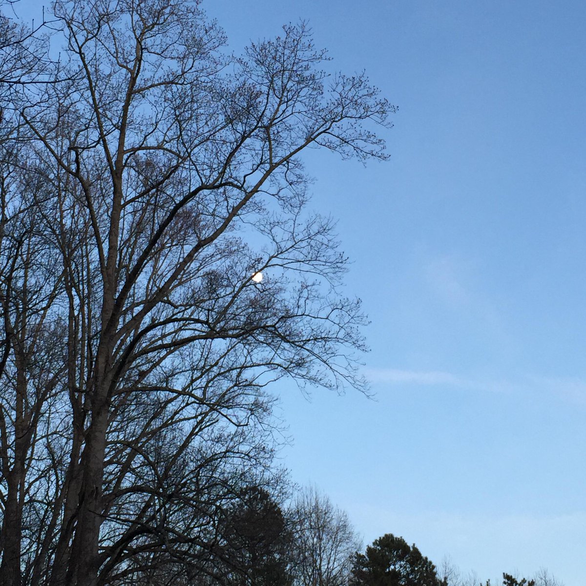 Beautiful evening in the SCBG