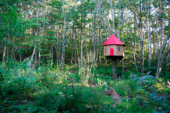 ☆ツリーハウスの世界☆ (@treehouseworld) / Posts / X