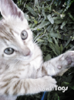 NameYo00's tweet photo. Con mi #bebe http://t.co/5njJqTt9AH