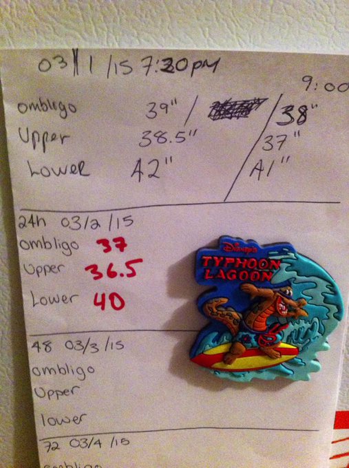 Mother in law is down 2 inches in 24h after using one wrap; 48h to go #itworks #itonlytakesone #determined<a href="/tag/progress"class="tags"><span>#progress</span></a><a href="/tag/determined"class="tags"><span>#determined</span></a><a href="/tag/itworks"class="tags"><span>#itworks</span></a><a href="/tag/itonlytakeson"class="tags"><span>#itonlytakeson</span></a>