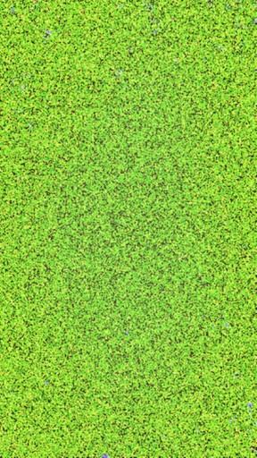 francotano's tweet photo. http://t.co/8m3AlqqJRU