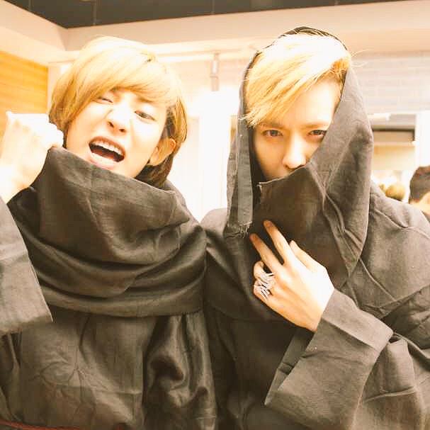 黛西莉莉 tweet media