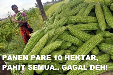 Andri New tweet media