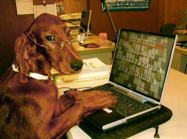 SharisLind's tweet photo. Nunca dejas de sorprenderte con los días #RandomTeamSharis Gana seguidores diario en mi Dinamica Hr México 21:15 #RT http://t.co/d9JnPpDJOv