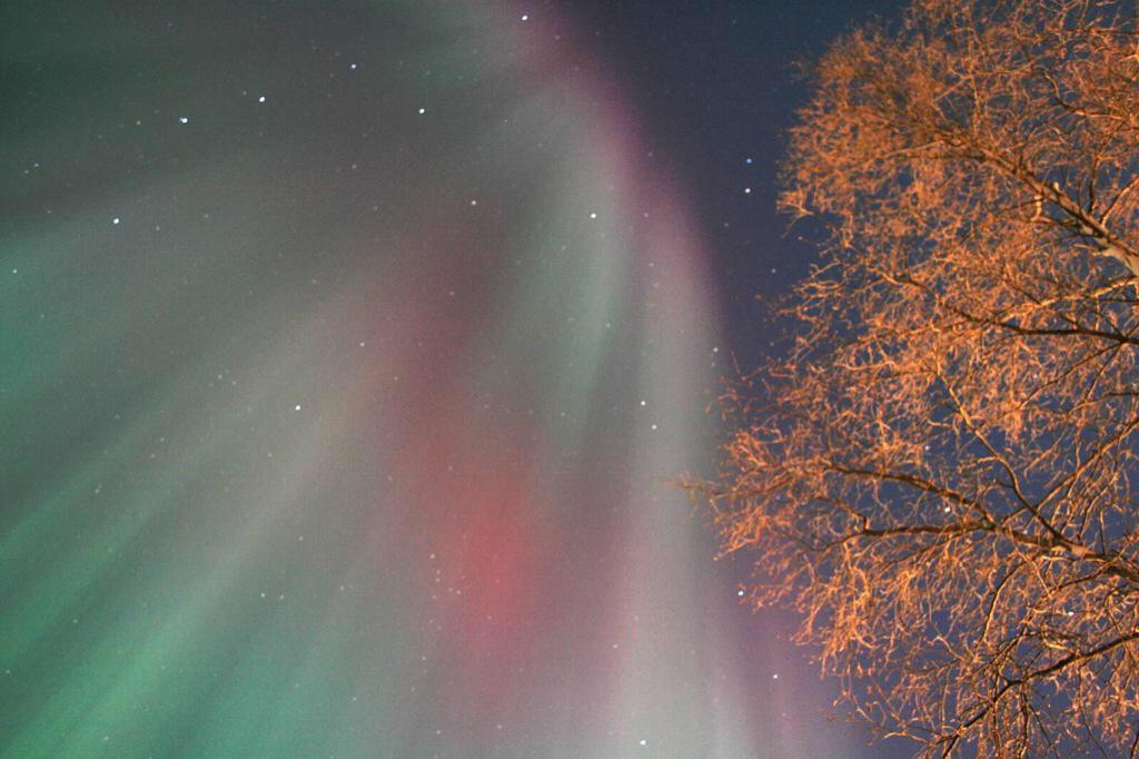 #AuroresBoréales | Yellowknife ce week-end par @grniz2 via <a href="/AuroraMAX_asc/">AuroraMAX</a>