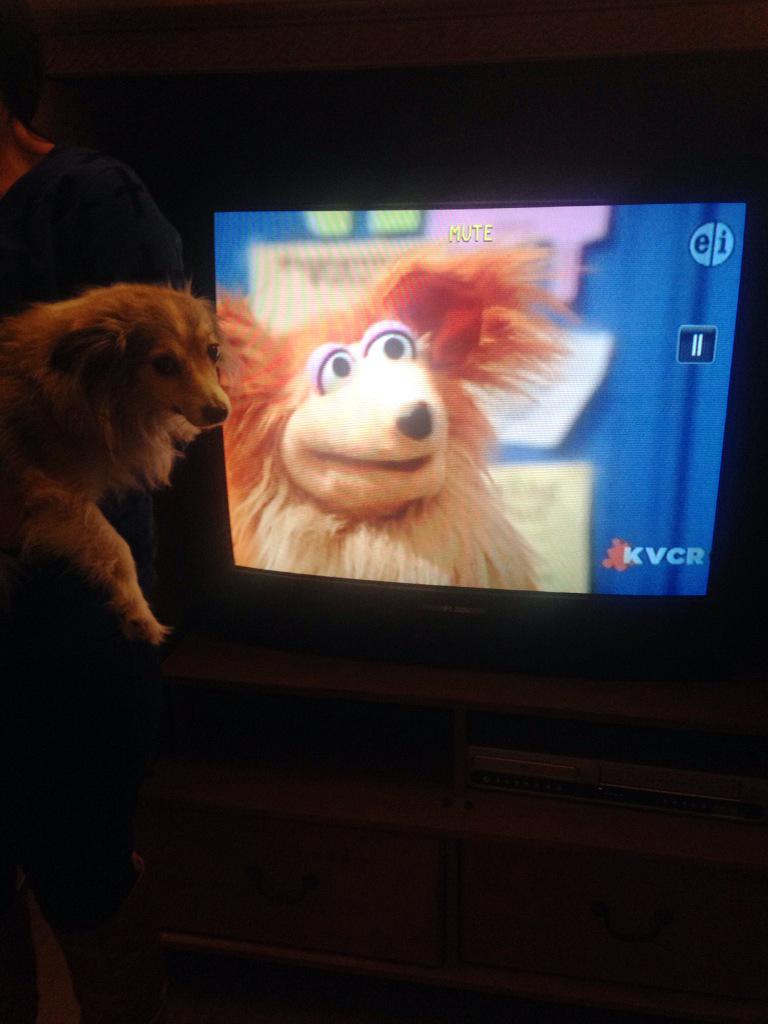 I think my dog has been on #SesameStreet and didn't tell me about this... #secretpast #dogsrule