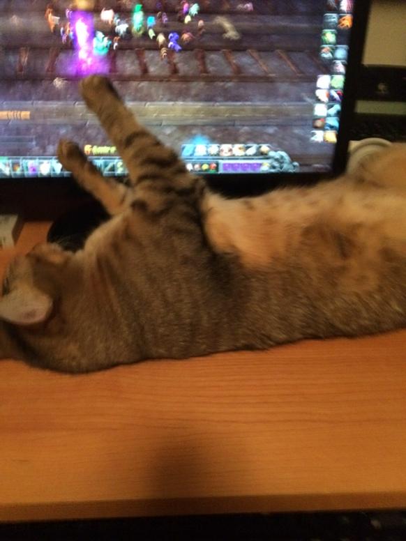 macchuck's tweet image. 