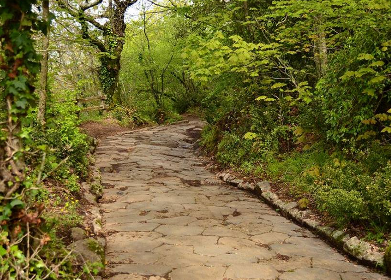 tesoridellazio's tweet photo. ...percorrendo il #basolato antico della Via Sacra tra il verde del #Parco dei #castelliromani #Lazio @Italy_it http://t.co/HkN9BZvVXQ