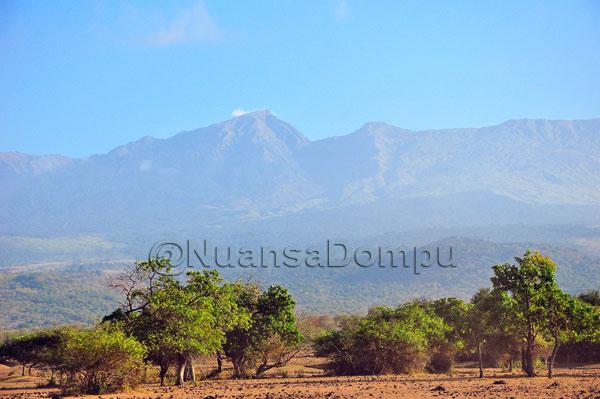 <a href="/NuansaDompu/">Nuansa Dompu</a>   View of Tambora
<a href="/susukudadompu/">Susu Kuda Liar Dompu</a>   <a href="/Songket_Dompu/">Songket Dompu - Bima</a>