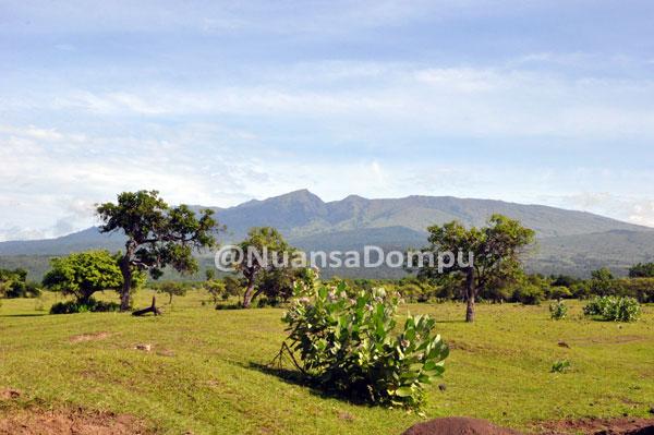 a view of Tambora
<a href="/NuansaDompu/">Nuansa Dompu</a> <a href="/susukudadompu/">Susu Kuda Liar Dompu</a>   <a href="/Songket_Dompu/">Songket Dompu - Bima</a>