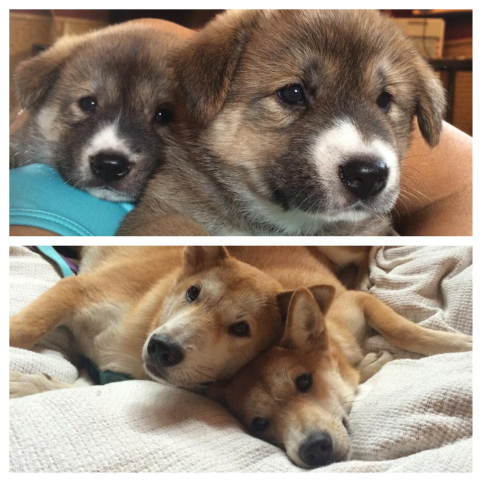 Happy  1 year Birthday to my favorite #savages