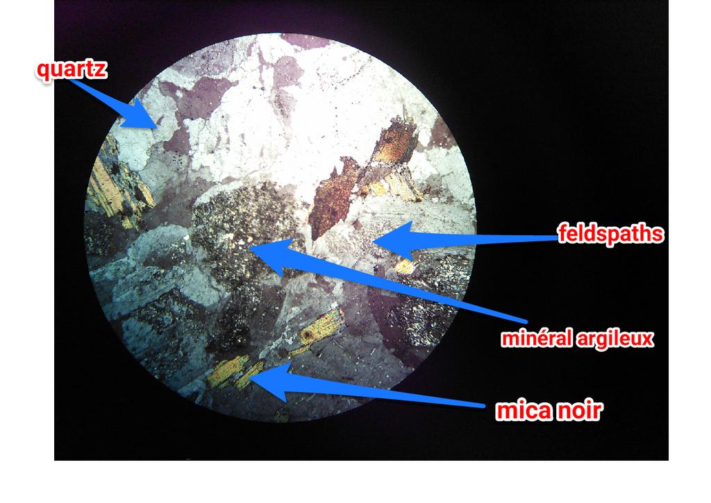 SVTSugerTab2's tweet photo. Observation au microscope polarisant (LPNA) d'un échantillon de granite altéré #chef-d'œuvre @SugerSVT #tweetesvt http://t.co/Ql1XXliAKa