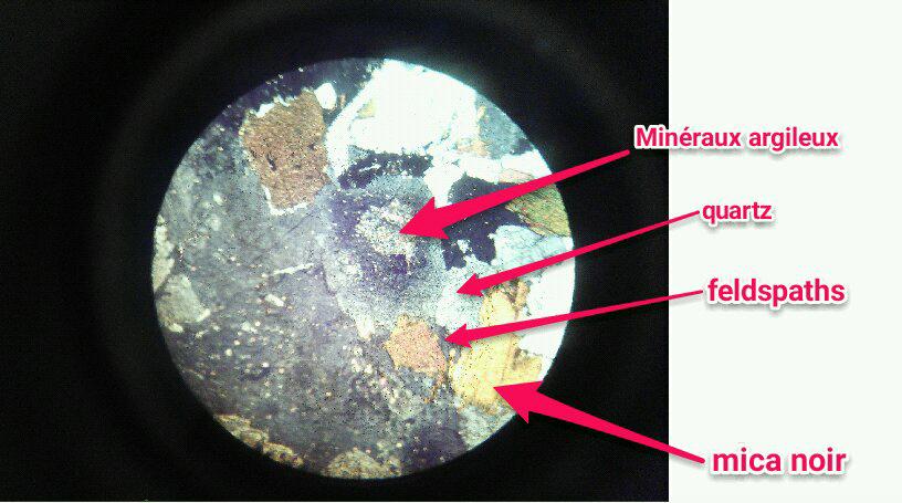 SVTSugerTab3's tweet photo. Granite altéré au microscope polarisant (en LPA) #tweeteTsvt @SugerSVT http://t.co/rdrzjlqjTS http://t.co/yq2GLKtrf0