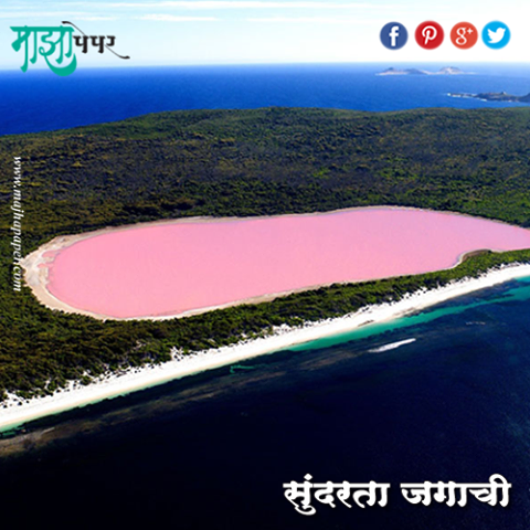 majhapaper's tweet photo. सुंदरता जगाची । @majhapaper | #world #beauty #nature #beautiful #refreshing #lively #marathi #online #newspaper http://t.co/VWDEN7AUcw