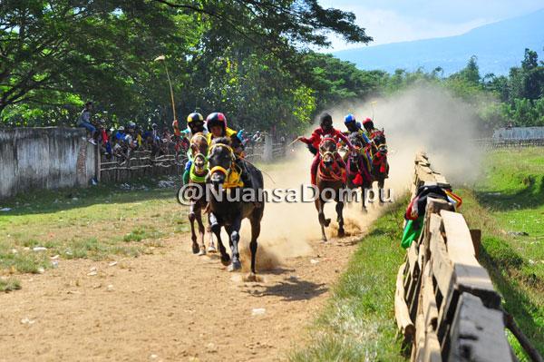 Pacoa Jara = Pacuan Kuda  <a href="/susukudadompu/">Susu Kuda Liar Dompu</a>