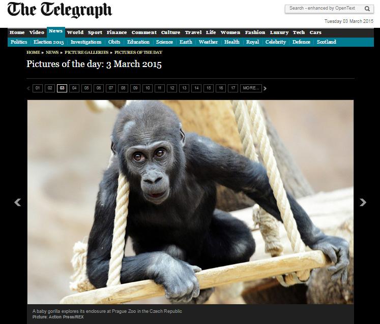Picture of the day in Daily Telegraph. Thanks team <a href="/actionpressde/">action press</a> and @REXeditorial