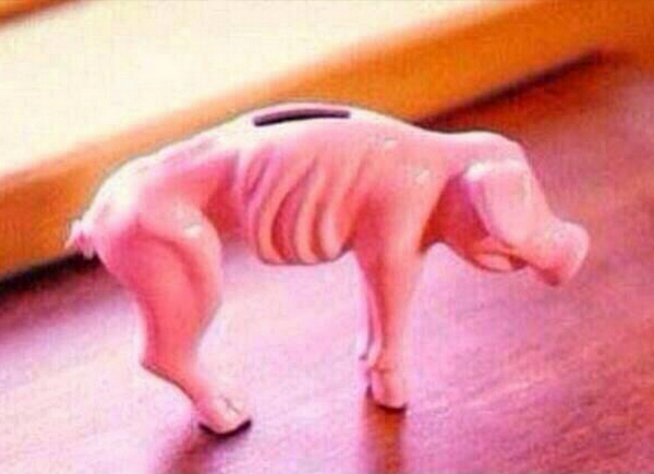 StumblerTop's tweet photo. my piggy bank be like http://t.co/tk2BXvffuI