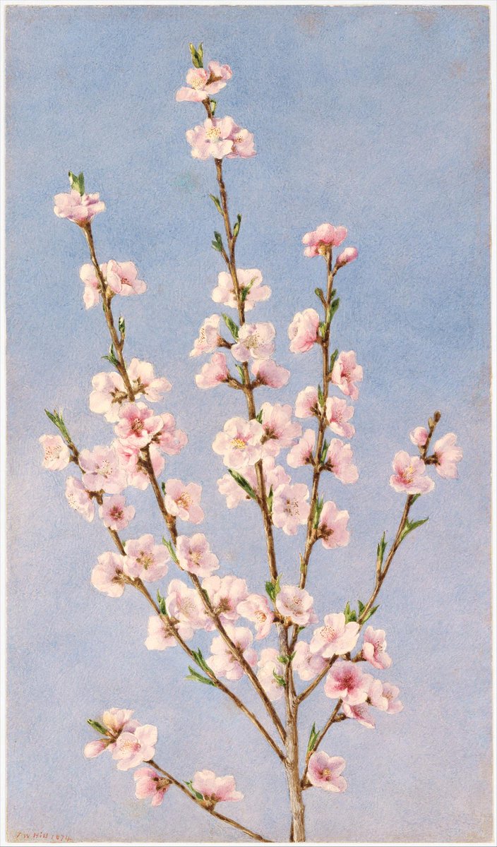 metmuseum tweet picture