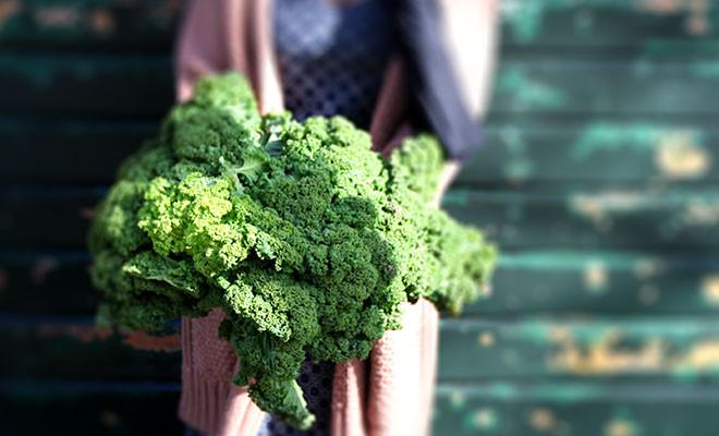 Let's start the week with the vegetable garden!

diedot-lifestyle.com/thinking-about…