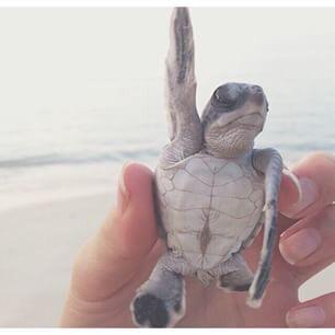 Hocam ceren ağlıyor tuvalete gidebilirmiyiz.