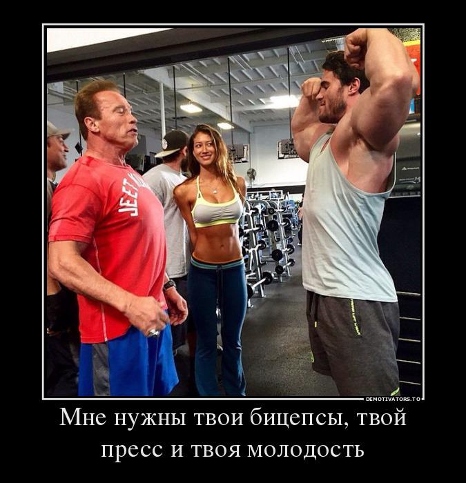 Открытки пожеланием, картинки смешные пресс