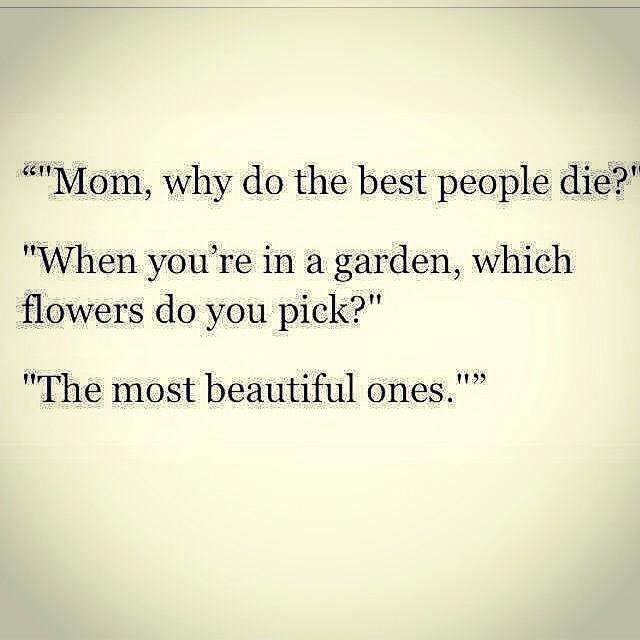 HarryBarningham's tweet image. Life is beauty🌹