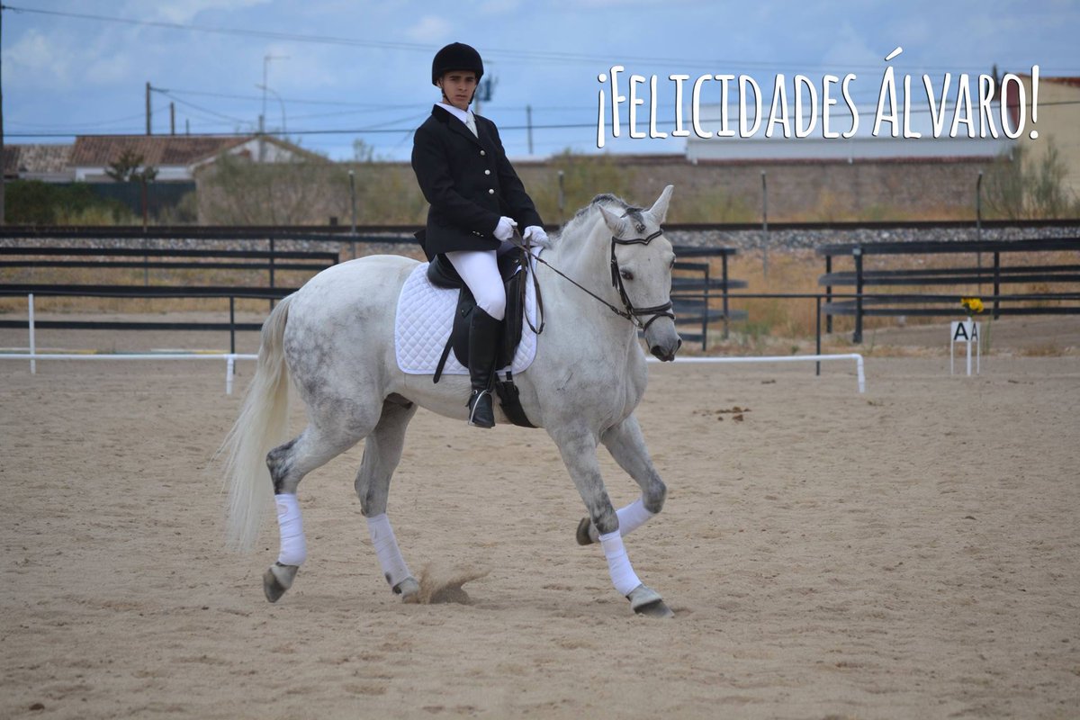 Amigoscaballo's tweet photo. ¡Muchas Felicidades Álvaro! 
¡Te deseamos lo mejor en tu 16 #cumpleaños! http://t.co/wF4knoIug9