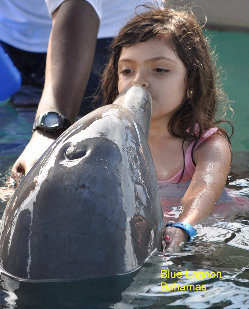 F1abraham's tweet image. #Bahamama #BahamaBaby #ShesCool #Paradise #Dolphines #Atlantis 💎🐬🚢☀️👗💙