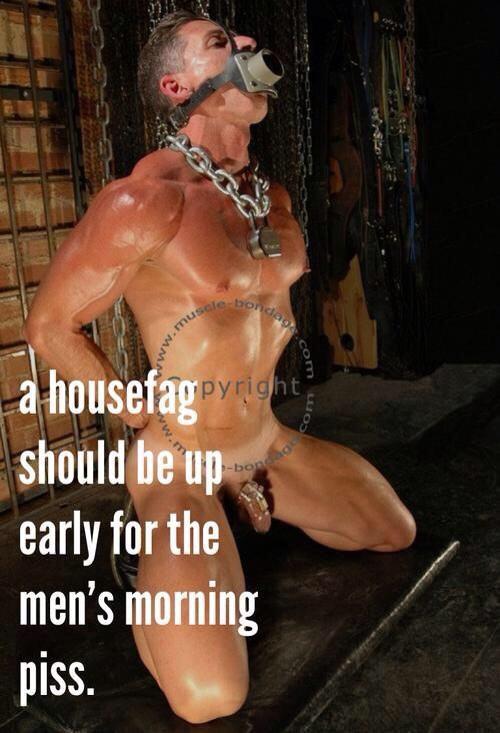 KevinRobertsPor's tweet photo. "@cawhtboy: I am a house fag and have been made to drink piss from anonymous guys. #BBBH #cheatingcumwhore https://t.co/HAbCOxJ9qa" same