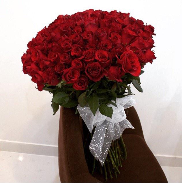 FloristBears's tweet photo. @FloristBears http://t.co/YGTCMIQxhu