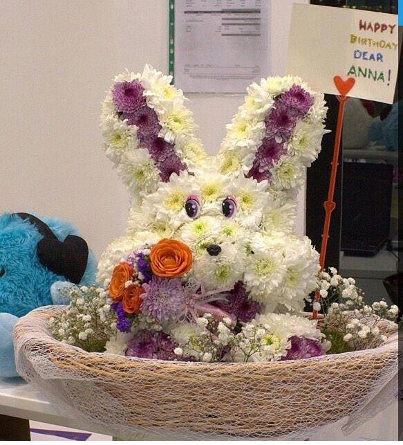 FloristBears's tweet photo. @FloristBears http://t.co/Fxw6e9jn7l