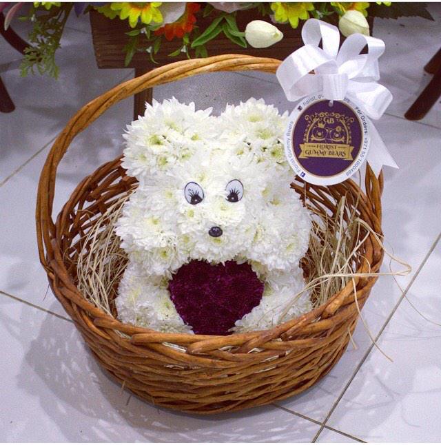 FloristBears's tweet photo. @FloristBears http://t.co/zBWTODJ4Tb