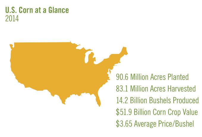 Farm Futures (@farmfutures) on Twitter photo Check out latest crop stats in <a href="/NationalCorn/">National Corn (NCGA)</a>'s 'World of Corn' report bit.ly/1zEjDfn #agchat #plant15 Check out latest crop stats in <a href="/NationalCorn/">National Corn (NCGA)</a>'s 'World of Corn' report bit.ly/1zEjDfn #agchat #plant15