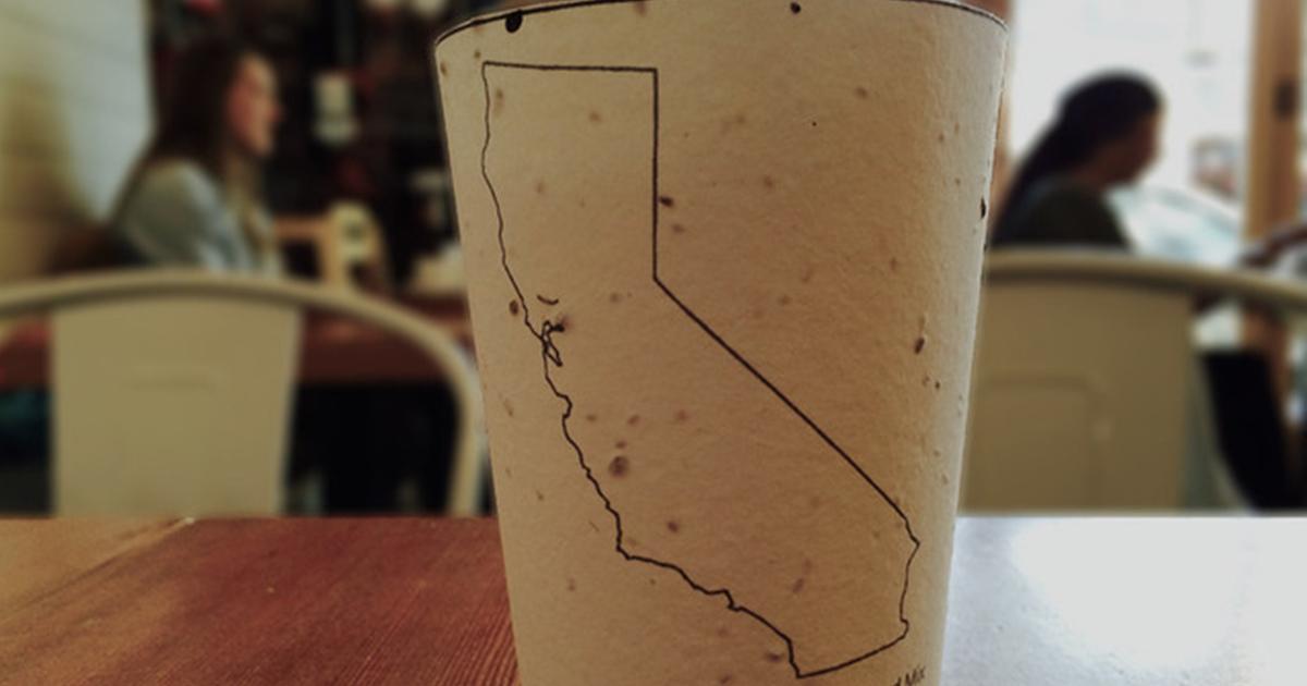 boredpanda's tweet photo. Biodegradable Coffee Cups Embedded With Seeds Grow Into Trees When Thrown Away (7 pics): http://t.co/cBibOC1LsA http://t.co/AuBNlMgcQ0