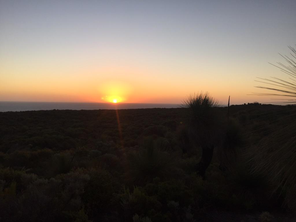 bootlegbrewer's tweet photo. Tonight's Mtb ride at contos http://t.co/EN5YcBFIQP
