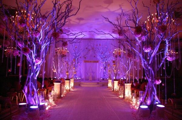 RENT MY WEDDING on Twitter: "Fantastic #enchanted forest theme setup with  purple #upighting! #diy http://t.co/nSm6cKe8l5" / Twitter