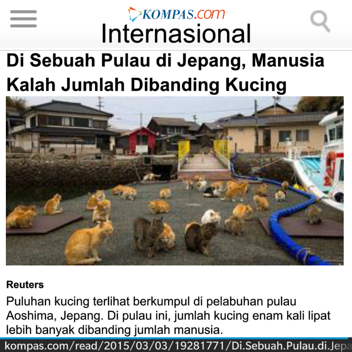 INDONESIAinLOVE's tweet photo. Pulau Aoshima di Jepang, Kucing Lebih Banyak dari Manusia : http://t.co/x2OTiTNyIk