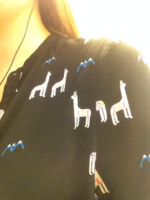 __kbtoys's tweet image. Wearing this shirt in light of the Great Llama Chase of 2015. #freethellamas