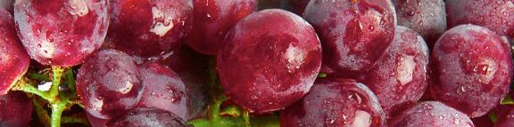 iBar Chocolate tweet media