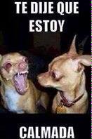 melydebosa's tweet photo. @MikeBosarreyes 😂😂 http://t.co/RflJ3Lwb9I