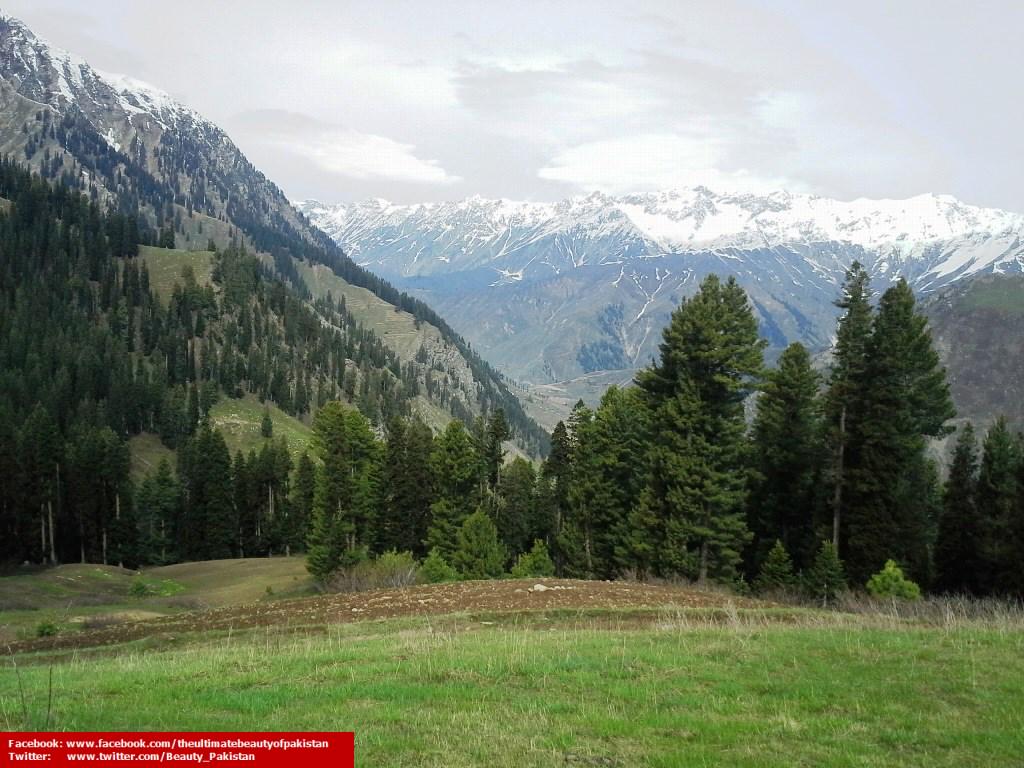 Beauty_Pakistan's tweet photo. Mind blowing beauty of #Lalazar, #Pakistan.

For more beautiful photos, Follow @Beauty_Pakistan, Favorite &amp; Retweet. http://t.co/TJqAfVlTF2