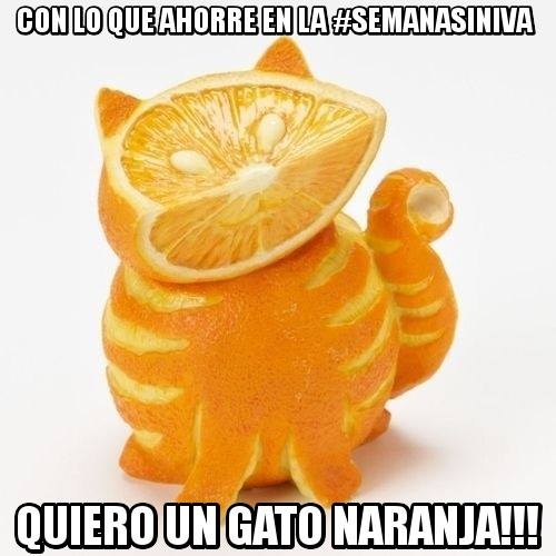 Con lo que ahorre en la #SemanaSinIVA de <a href="/orange_es/">Orange España</a> quiero un gato naranja!!